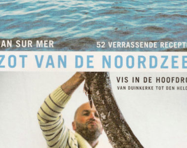 Zot van de Noordzee
