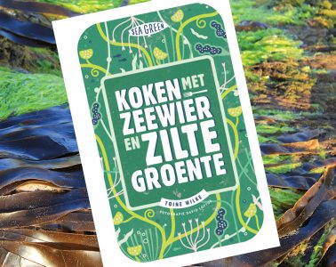 Koken met zeewier