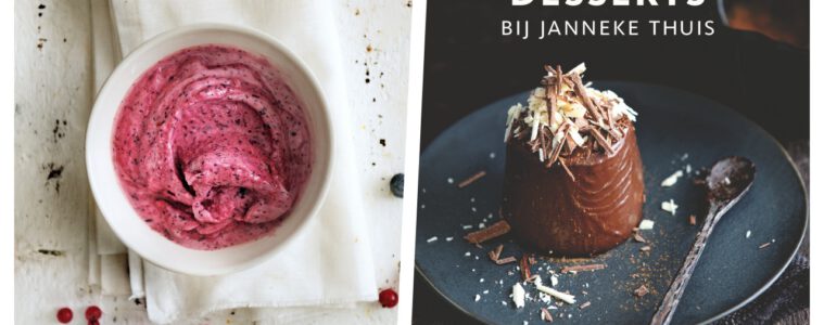 Frozen bessenyoghurt