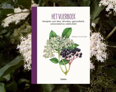 Het vlierboek